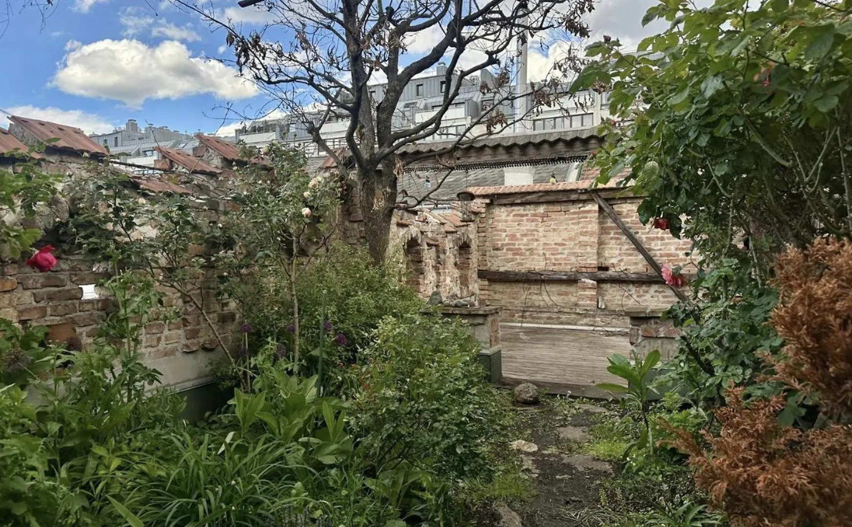 200 M2 Eden Garden Apartment With Terrace Vienna